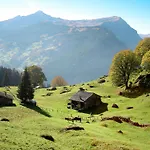 Fluehbluemli - Eigerview By Interhome Appartement *