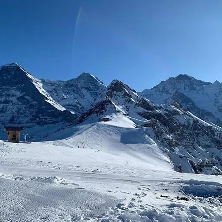 公寓 Fluehbluemli - Eigerview By Interhome 格林德瓦