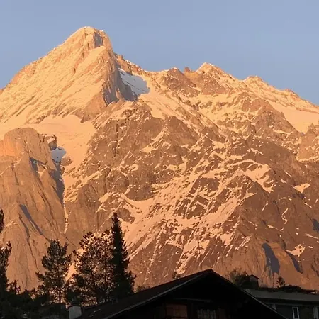 Fluehbluemli - Eigerview By Interhome דירה גרינדלוולד