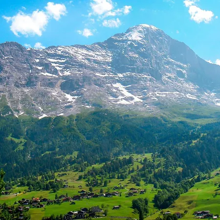 Fluehbluemli - Eigerview By Interhome דירה