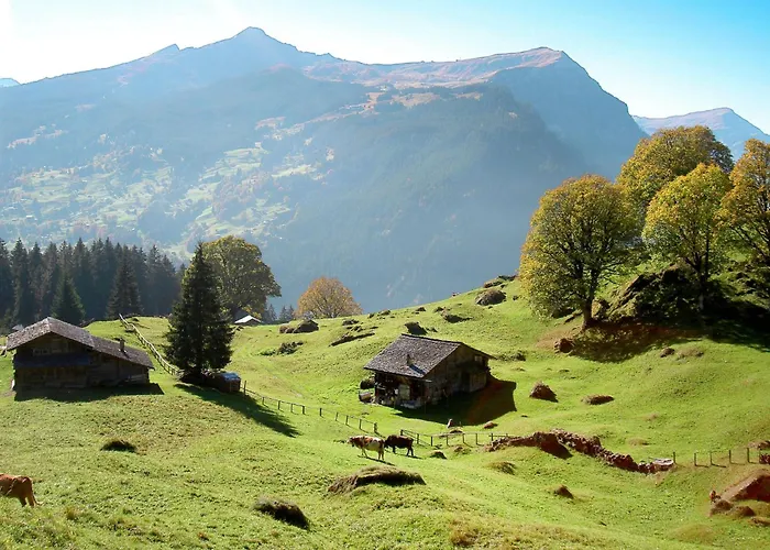 Fluehbluemli - Eigerview By Interhome Lägenhet *