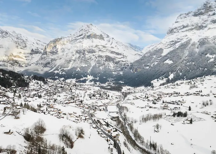 Fluehbluemli - Eigerview By Interhome Grindelwald