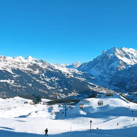 Fluehbluemli - Eigerview By Interhome Appartement