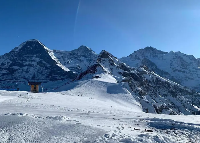 Apartment Fluehbluemli - Eigerview By Interhome Grindelwald